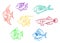 Colorful aquarium fishes set