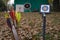 Colorful archery arrows and targets