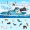 Colorful Arctic Wildlife Concept