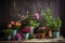 a colorful arrangement of potted plants, on a wooden table