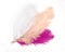 Colorful Artificial Feathers Shot on White Background