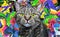 Colorful artistic cat muzzle with bright paint splatters on dark background