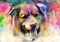 Colorful artistic dog muzzle isolated on white background