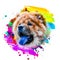 Colorful artistic lion muzzle with bright paint splatters on dark background.