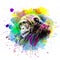 Colorful artistic monkey muzzle with bright paint splatters on white background