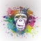 Colorful artistic monkey`s head on background with colorful creative elements with colorful creative elements