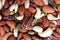 Colorful assorted nuts background - almonds, cashews, pistachios, white almonds texture