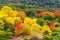 Colorful Australian autumn in Mount Lofty