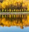 Colorful autumn. Alley along the riverbank on the background of the autumn park. Reflections in the river