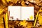 Colorful autumn background. Open notebook with blank white pages for text, colored pencils on bright autumn leaves