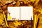 Colorful autumn background. Open notebook with blank white pages for text, colored pencils on bright autumn leaves
