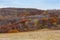 Colorful autumn in Bashang grassland