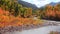 Colorful autumn bushes along Crystal river in Colorado country side