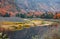 Colorful autumn bushes by the river in Quebec province countryside