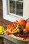 Colorful autumn collection of gourds on a table ou