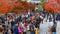 Colorful Autumn at Eikando Zenrinji Temple in Kyoto