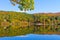 Colorful autumn foliage by lake side in vermont