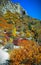 Colorful autumn foliage stunning nature landscape Himalayas