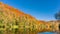 Colorful autumn forest at the Bavarian river Naab near to Regensburg