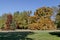 Colorful autumn forest with beautiful branched trees with many yellow, green, red and brown leaves  and meadow, Vrana park