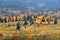 Colorful autumn forest in the bucovina mountains,romania