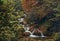 Colorful autumn in forest. Closeup on water stream and rocks