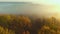 Colorful autumn forest covered with thick fog