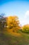 Colorful autumn forest in fall from the Ozark Mountain wilderness of Arkansas. The trees come alive with color as the seasons and