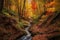 colorful autumn forest with long trails, streams and waterfalls