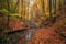 colorful autumn forest with long trails, streams and waterfalls