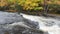 Colorful autumn forest on a riverside of Oxtongue river