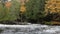 Colorful autumn forest on a riverside of Oxtongue river