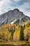Colorful autumn forest in Slovenian Alps with huge rocky mountains