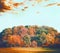 Colorful autumn forest trees with foliage landscape at beautiful sky background, In the foreground fall an oblique field or lawn