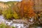 The colorful autumn hues of the trees overlooking the Rio Fontanacce in Ponte Sant`Anna, Emilian Apennines, Italy