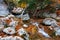 Colorful autumn landscape with beautiful waterfall at mountain river in the forest with red foliage. Stones with moss in the water