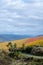 Colorful autumn landscape of oldest wine region in world Douro valley in Portugal, different varietes of grape vines growing on