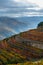 Colorful autumn landscape of oldest wine region in world Douro valley in Portugal, different varietes of grape vines growing on