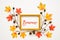Colorful Autumn Leaf Decoration, Frame, Text Bienvenue Means Welcome