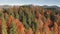 Colorful autumn leaf mountain forest aerial. Nobody nature landscape. Unexplored wildlife scenery