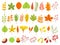 Colorful autumn leaves. Autumnal yellow leaf, forest nature orange leafage and september red leaves flat vector set
