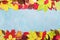 Colorful autumn leaves background banner top view. Fall sale mockup. Copy space for text.