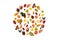 Colorful Autumn leaves, berries and apples pattern on the white background.