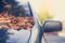 Colorful autumn leaves lying on a car front shield