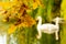 Colorful autumn leaves on the shore of lake illustrate swan silhouette