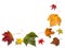 Colorful autumn leaves on white background. Fall season backdrop.Foliage border,frame