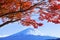 Colorful Autumn in Mount Fuji Japan - Lake Kawaguchiko is one of
