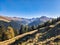 Colorful autumn in the mountains. Flowering bushes and blueberries in Davos Klosters. High quality photo.