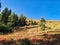 Colorful autumn in the mountains. Flowering bushes and blueberries in Davos Klosters. High quality photo.