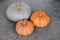 Colorful autumn pumpkins on grey background. Thanksgiving or Halloween preparations. Copy space for text. Healthy seasonal food